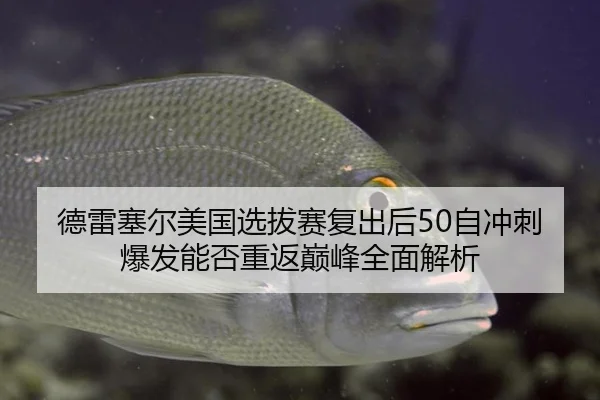 德雷塞尔美国选拔赛复出后50自冲刺爆发能否重返巅峰全面解析