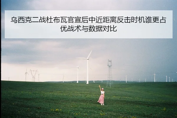 乌西克二战杜布瓦官宣后中近距离反击时机谁更占优战术与数据对比